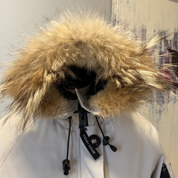 Canada Goose Chilliwack Bomber - Picture 4 of 16